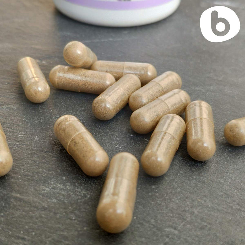 Organic Lavender Capsules - Relaxation & Calm | 90 Vegan Capsules | Non-GMO & Gluten-Free