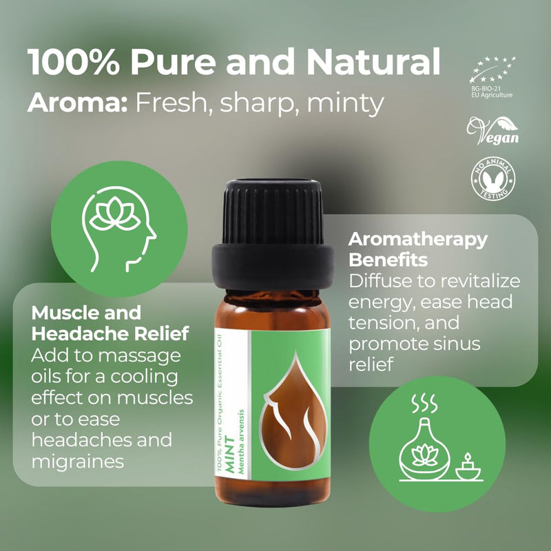 Organic Mint Essential Oil 1/3 Oz (10ml) Mentha arvensis – 100% Pure & Undiluted Aromatherapy
