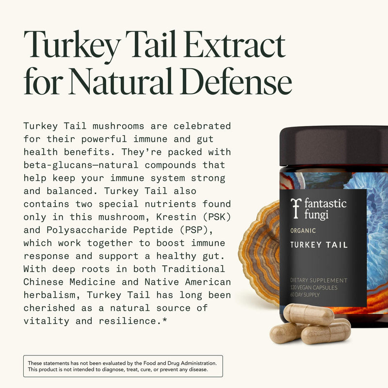 Organic Turkey Tail Mushroom Capsules – Immune & Gut Health (120 Caps, Vegan)