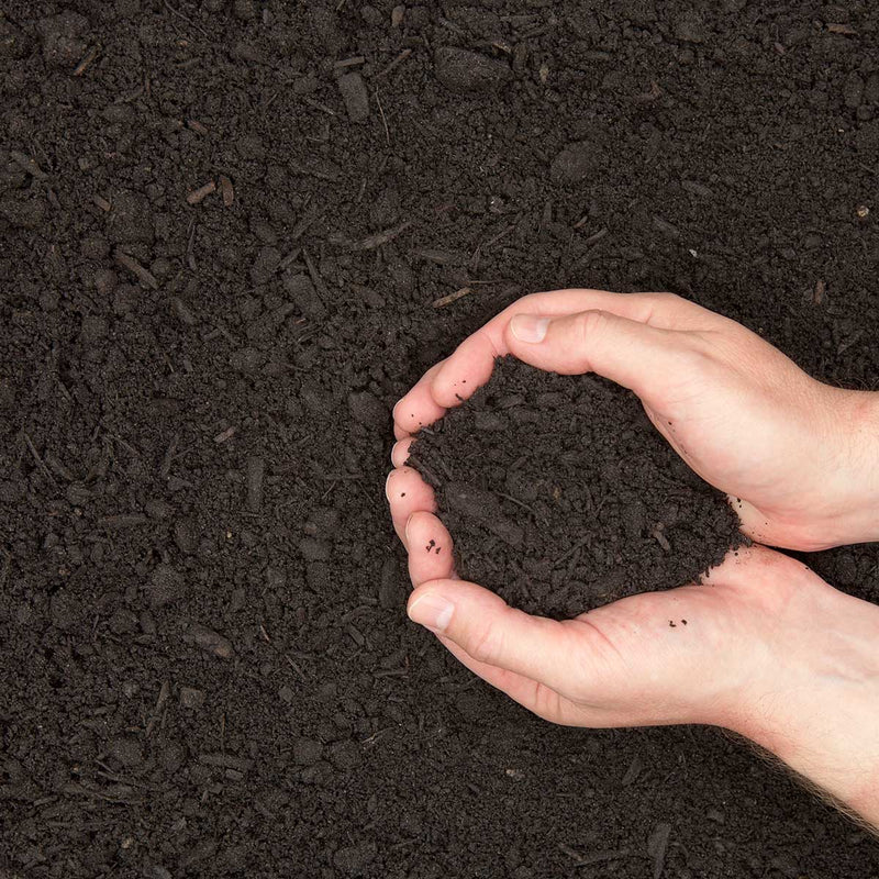 organicgardencompost.jpg