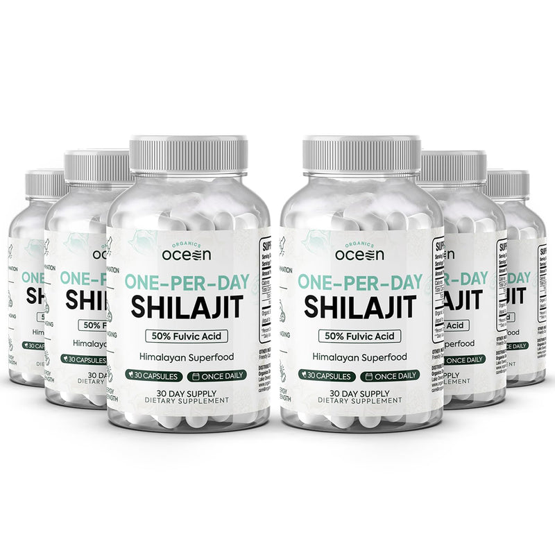 Organics Ocean One-Per-Day Shilajit Capsules – Himalayan Shilajit for Hormone Support – 6 Bottles