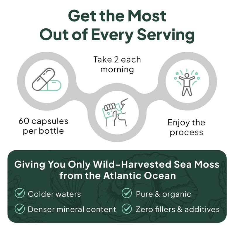 Organics Ocean Wild Sea Moss Capsules – Organic Irish Sea Moss, Chlorella, Bladderwrack & Vitamin D3 (3 Bottles)