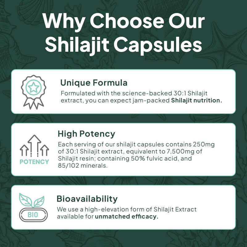 Organics Ocean One-Per-Day Shilajit Capsules – Himalayan Shilajit for Hormone Support – 6 Bottles