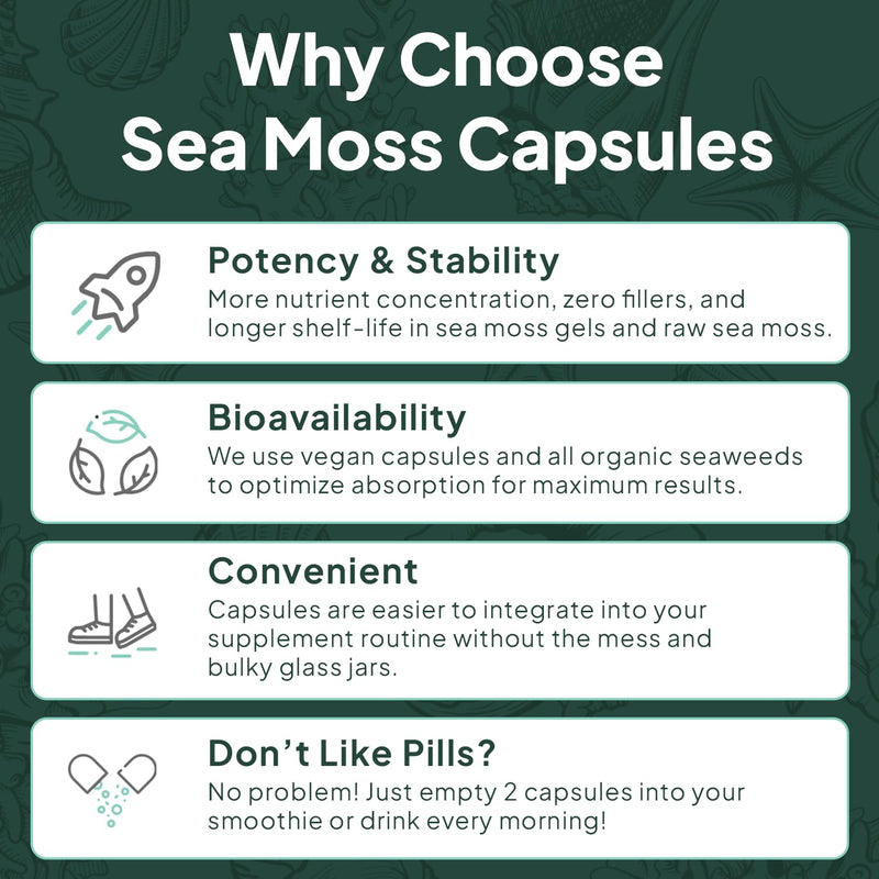 Organics Ocean Wild Sea Moss Capsules – Organic Irish Sea Moss, Chlorella, Bladderwrack & Vitamin D3 (3 Bottles)