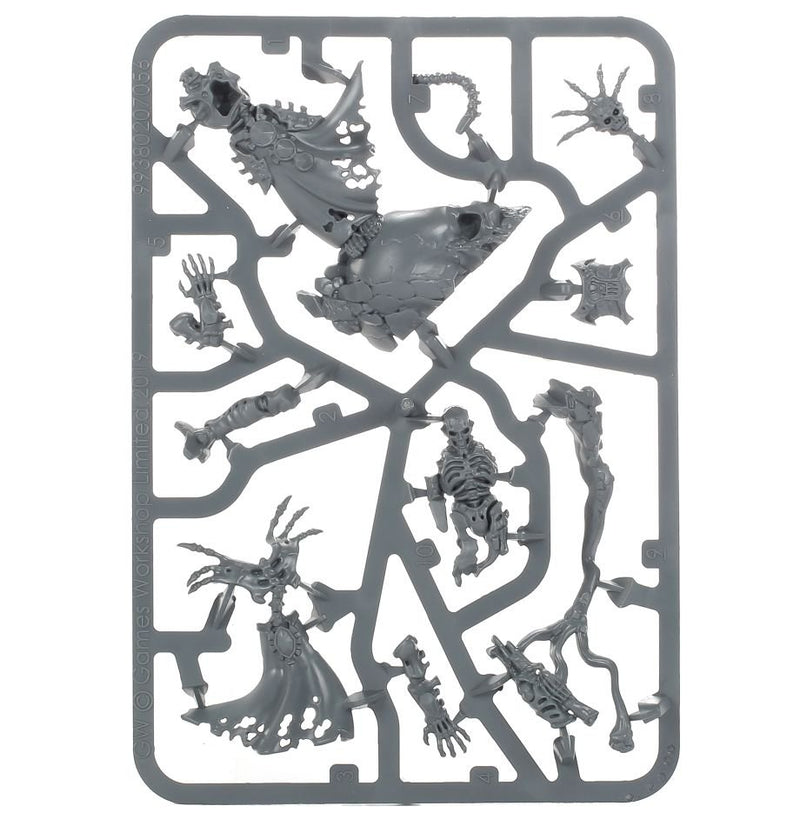 Ossiarch Bonereapers: Mortisian Boneshaper