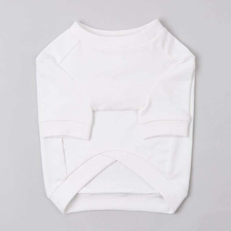 Sweatshirt with Embroidered Text