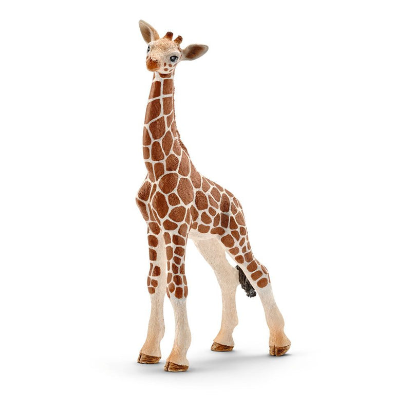 SCHLEICH Wild Life Giraffe Calf Toy Figure