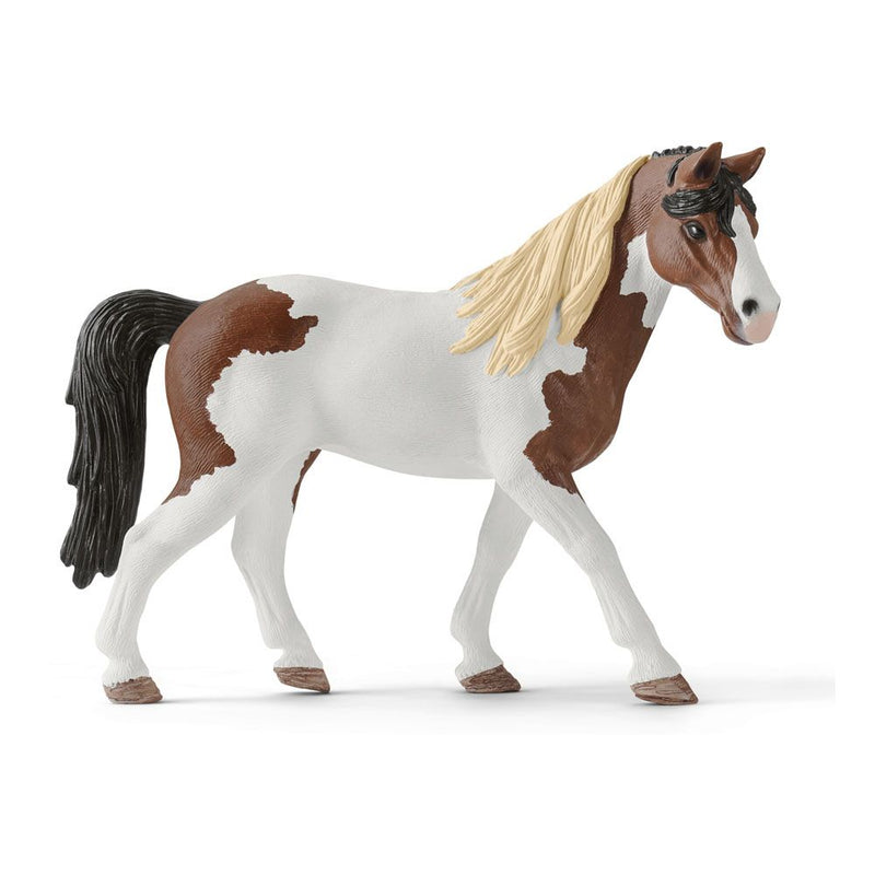 SCHLEICH Horse Club Hannah's Western Riding Set Toy Playset, 5 to 12 Years, Multi-colour