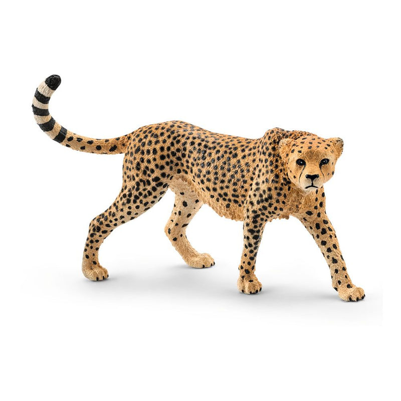 SCHLEICH Wild Life Female Cheetah Toy Figure, 3 to 8 Years