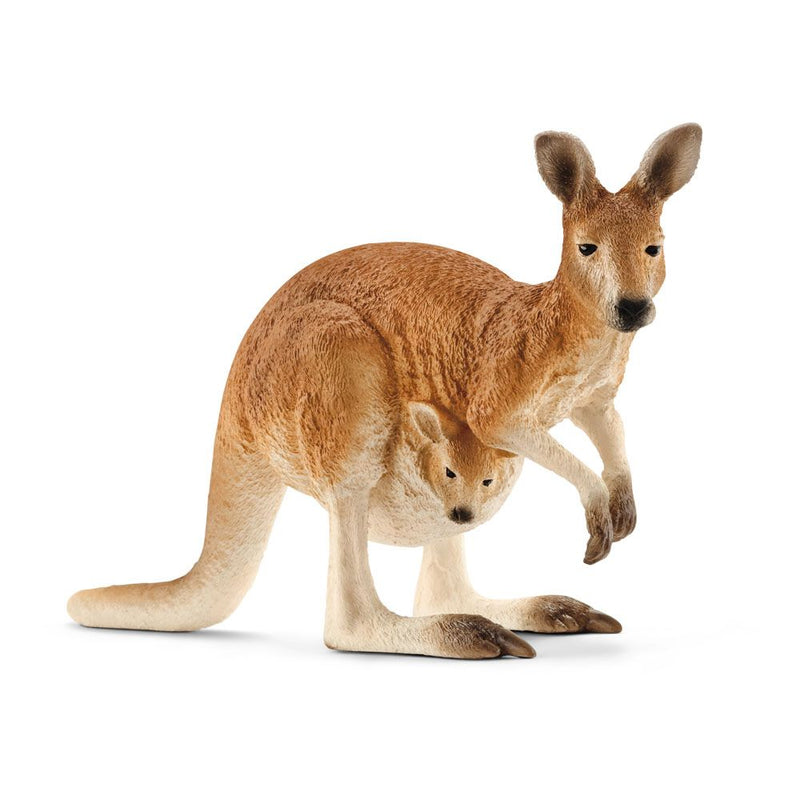 SCHLEICH Wild Life Kangaroo Toy Figure, 3 to 8 Years