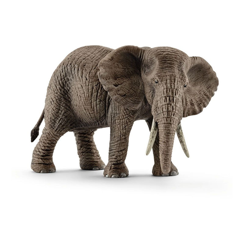 SCHLEICH Wild Life Female African Elephant Toy Figure, 3 to 8 Years