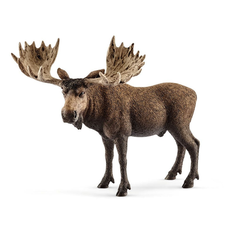 SCHLEICH Wild Life Moose Bull Toy Figure, 3 to 8 Years