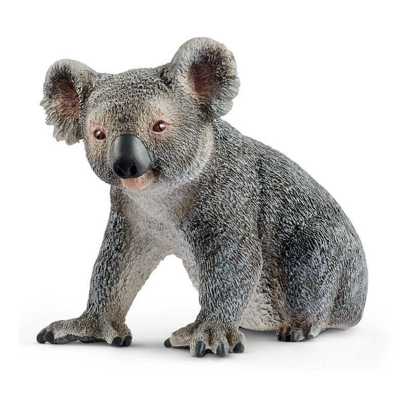 SCHLEICH Wild Life Koala Bear Toy Figure, 3 to 8 Years