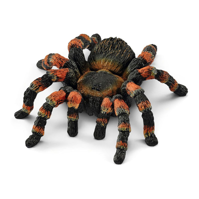 SCHLEICH Wild Life Tarantula Toy Figure, 3 to 8 Years