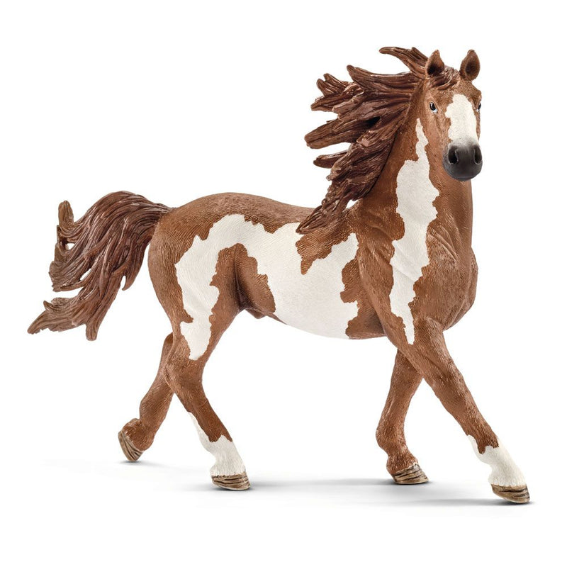 SCHLEICH Farm World Pinto Stallion Toy Figure, Brown/White, 3 to 8 Years