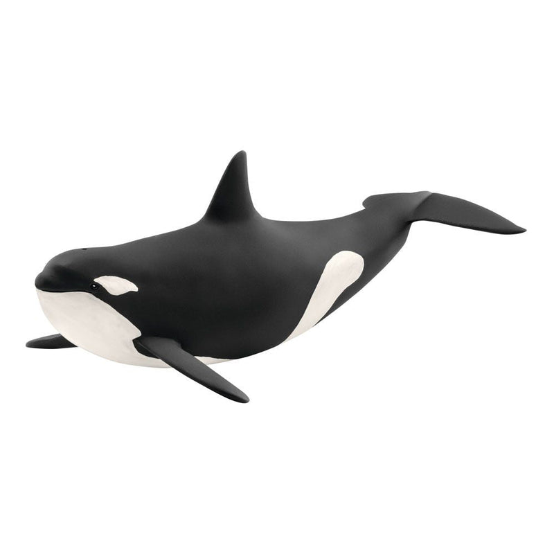 SCHLEICH Wild Life Killer Whale Toy Figure, Black/White, 3 to 8 Years