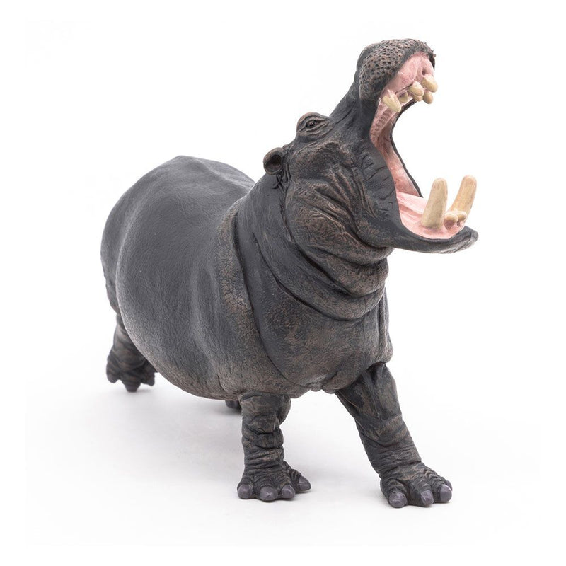 PAPO Wild Animal Kingdom Hippopotamus Toy Figure, Three Years or Above, Grey