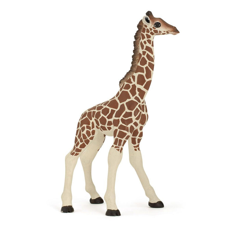 PAPO Wild Animal Kingdom Giraffe Calf Toy Figure, Three Years or Above, Multi-colour
