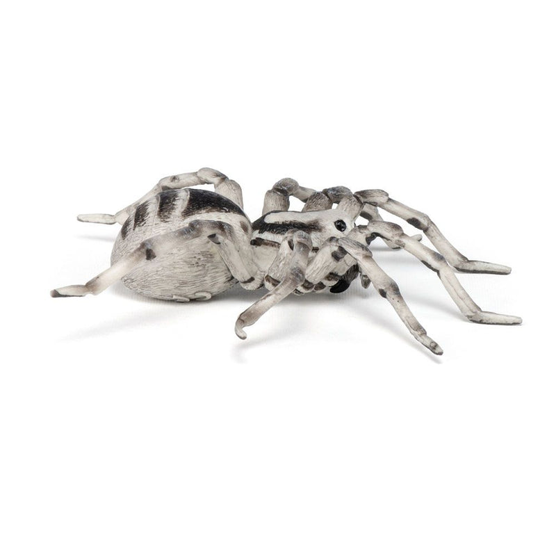 PAPO Wild Animal Kingdom Tarantula Toy Figure, Three Years or Above, Multi-colour