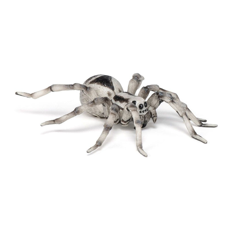 PAPO Wild Animal Kingdom Tarantula Toy Figure, Three Years or Above, Multi-colour
