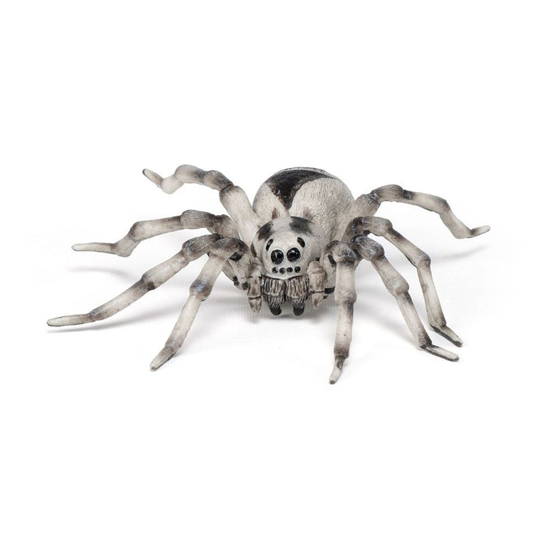 PAPO Wild Animal Kingdom Tarantula Toy Figure, Three Years or Above, Multi-colour