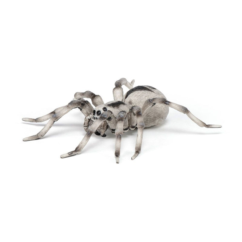 PAPO Wild Animal Kingdom Tarantula Toy Figure, Three Years or Above, Multi-colour