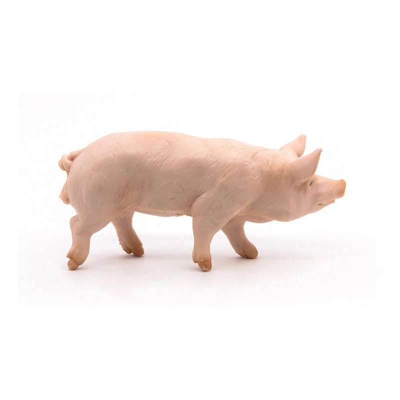 PAPO Farmyard Friends Boar Toy Figure, Three Years or Above, Pink