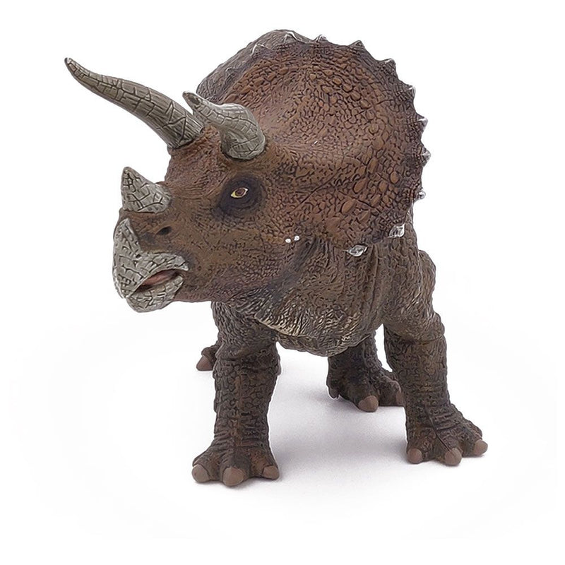 PAPO Dinosaurs Triceratops Toy Figure, Three Years or Above, Multi-colour