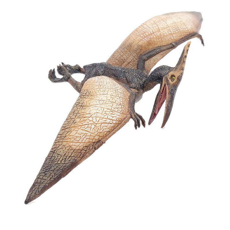 PAPO Dinosaurs Pteranodon Toy Figure, Three Years or Above, Multi-colour