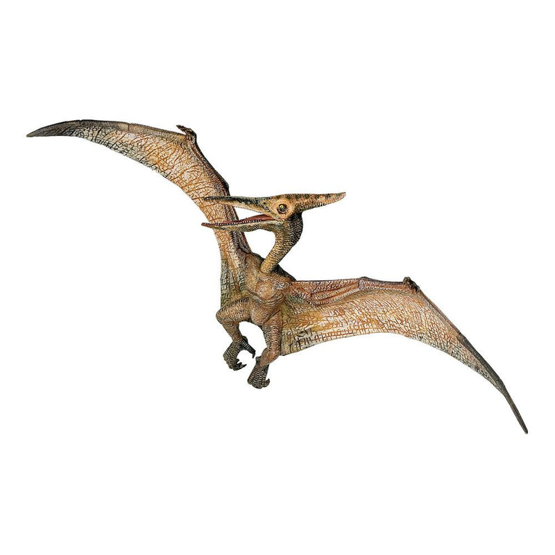 PAPO Dinosaurs Pteranodon Toy Figure, Three Years or Above, Multi-colour