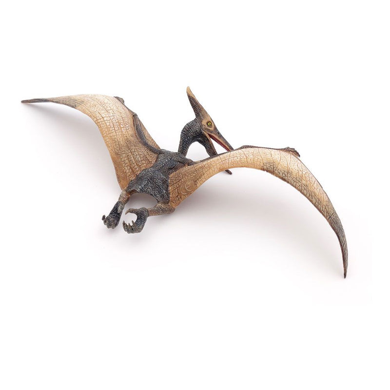 PAPO Dinosaurs Pteranodon Toy Figure, Three Years or Above, Multi-colour