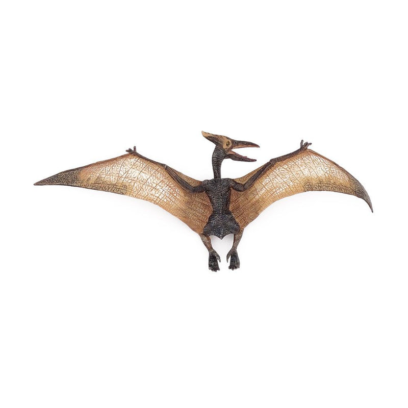 PAPO Dinosaurs Pteranodon Toy Figure, Three Years or Above, Multi-colour