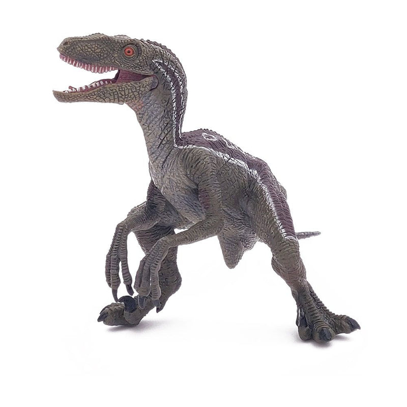 PAPO Dinosaurs Velociraptor Toy Figure, Three Years or Above, Multi-colour