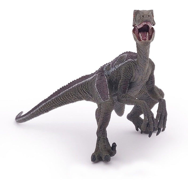 PAPO Dinosaurs Velociraptor Toy Figure, Three Years or Above, Multi-colour