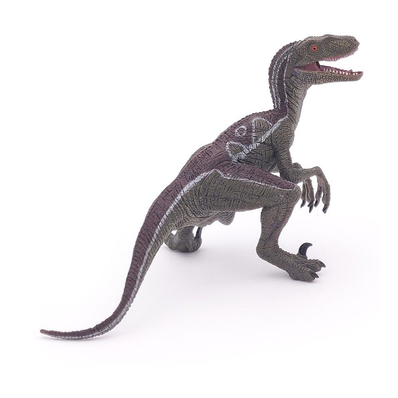 PAPO Dinosaurs Velociraptor Toy Figure, Three Years or Above, Multi-colour