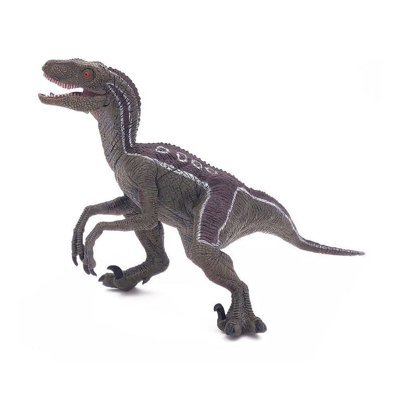 PAPO Dinosaurs Velociraptor Toy Figure, Three Years or Above, Multi-colour