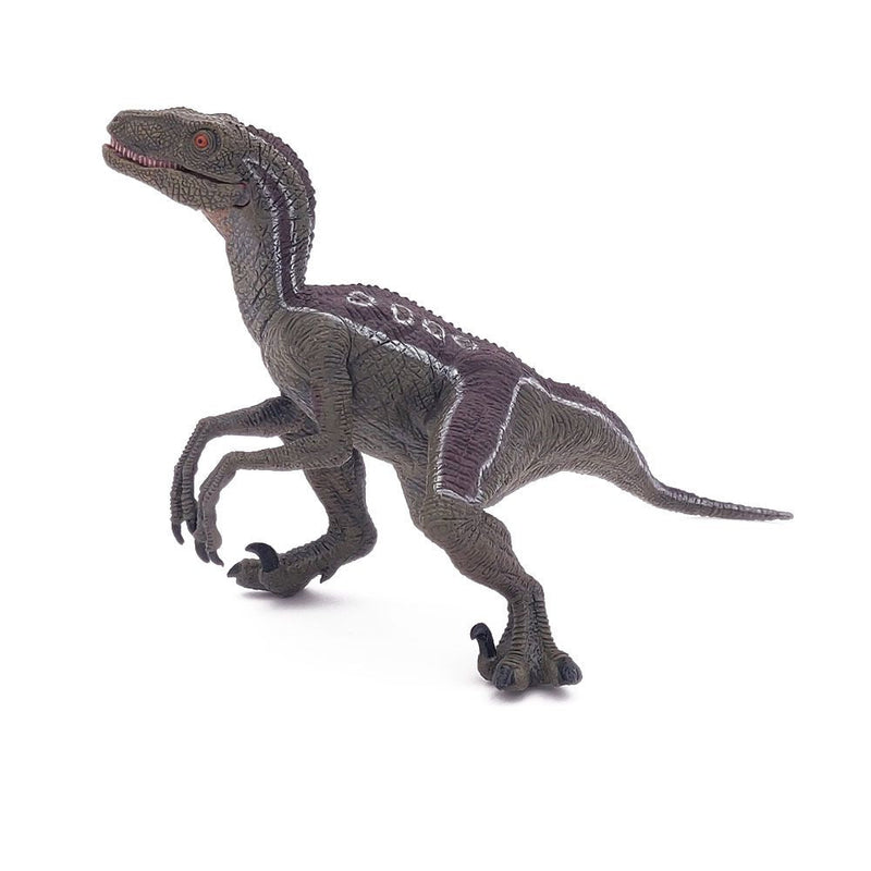 PAPO Dinosaurs Velociraptor Toy Figure, Three Years or Above, Multi-colour