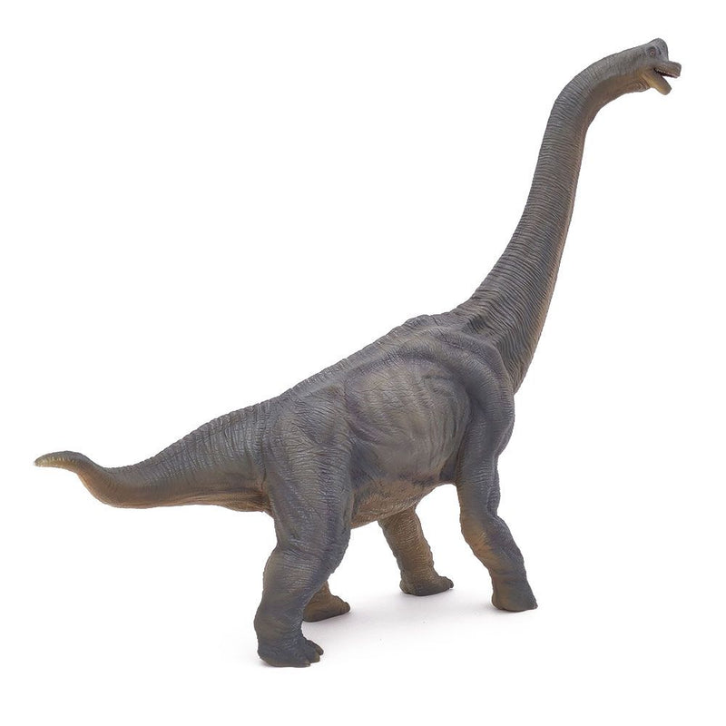PAPO Dinosaurs Brachiosaurus Toy Figure, Three Years or Above, Multi-colour