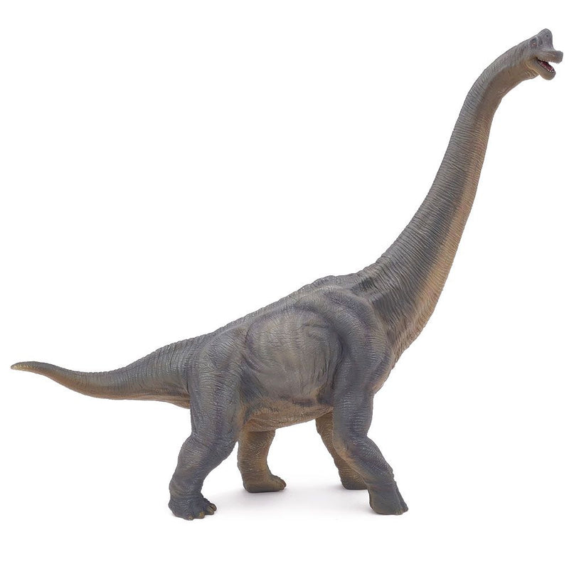 PAPO Dinosaurs Brachiosaurus Toy Figure, Three Years or Above, Multi-colour