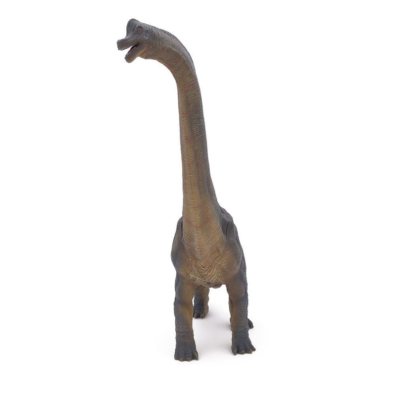 PAPO Dinosaurs Brachiosaurus Toy Figure, Three Years or Above, Multi-colour