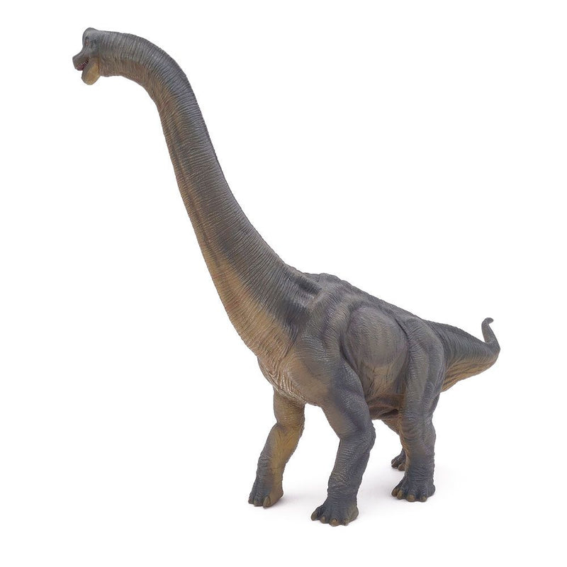 PAPO Dinosaurs Brachiosaurus Toy Figure, Three Years or Above, Multi-colour
