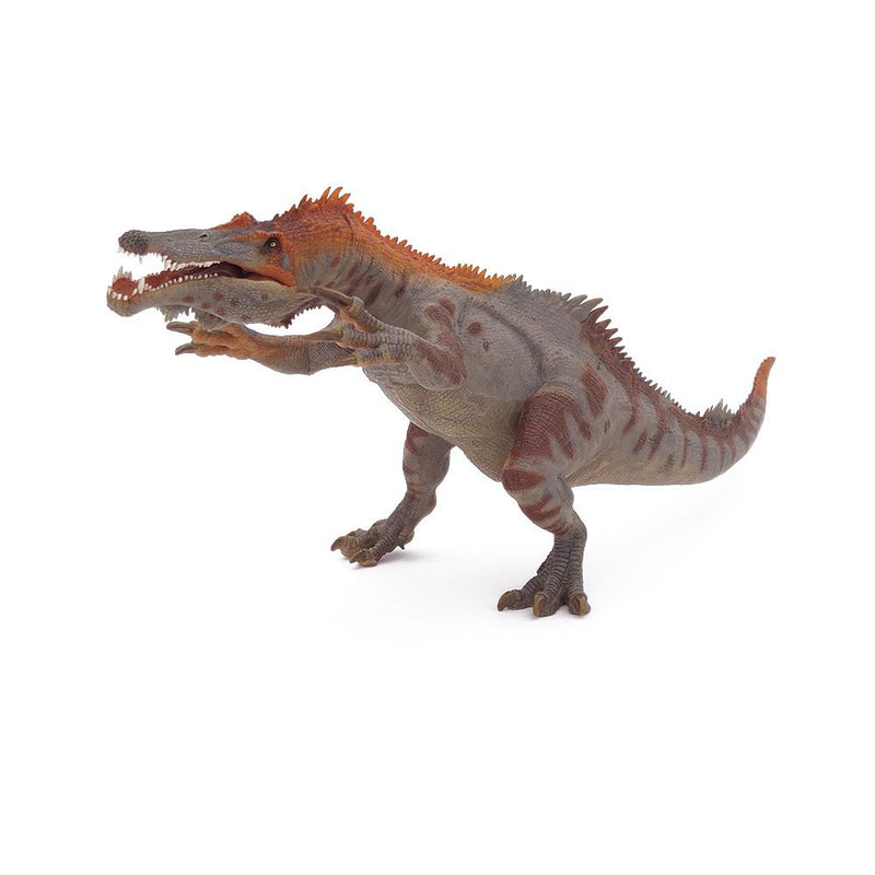 PAPO Dinosaurs Baryonyx Toy Figure, Three Years or Above, Multi-colour