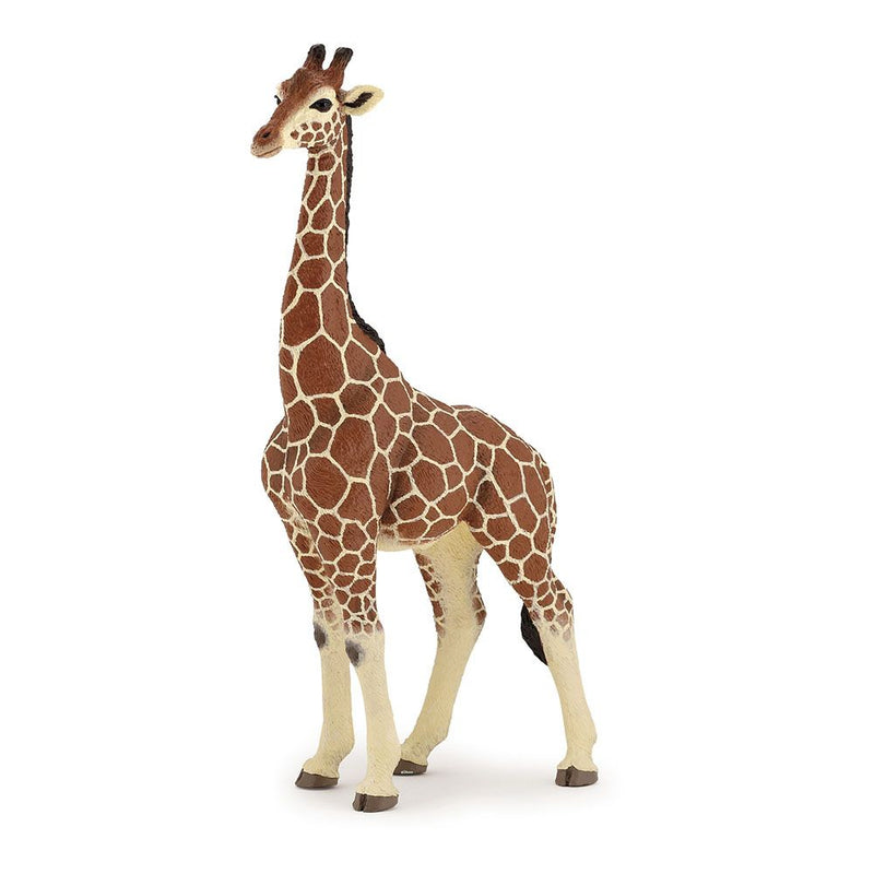 PAPO Wild Animal Kingdom Giraffe Male Toy Figure, Three Years or Above, Multi-colour