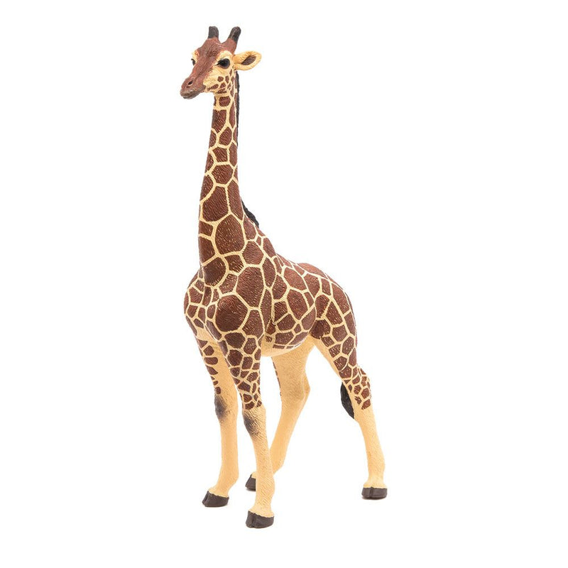 PAPO Wild Animal Kingdom Giraffe Male Toy Figure, Three Years or Above, Multi-colour