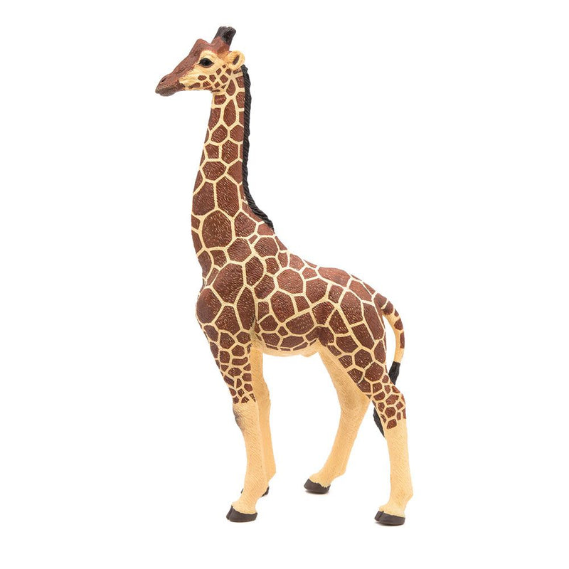 PAPO Wild Animal Kingdom Giraffe Male Toy Figure, Three Years or Above, Multi-colour