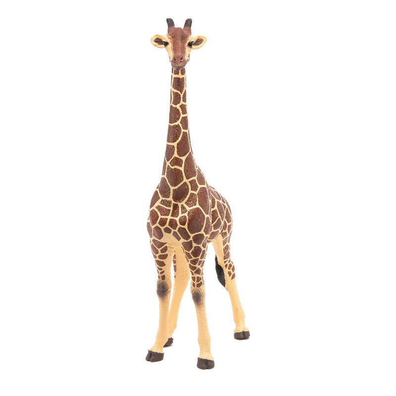 PAPO Wild Animal Kingdom Giraffe Male Toy Figure, Three Years or Above, Multi-colour