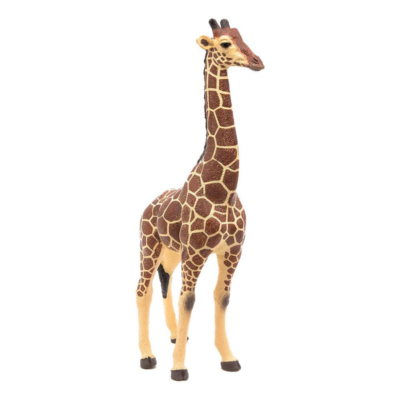 PAPO Wild Animal Kingdom Giraffe Male Toy Figure, Three Years or Above, Multi-colour