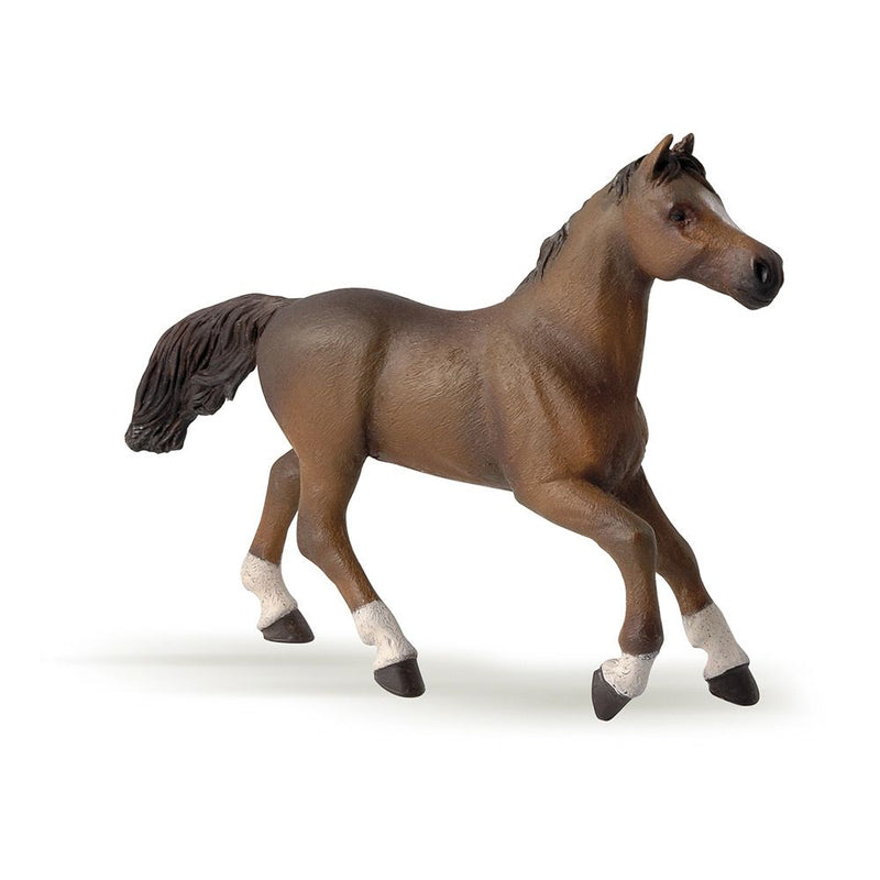 PAPO Horse and Ponies Anglo-Arab Mare Toy Figure, Three Years or Above, Brown