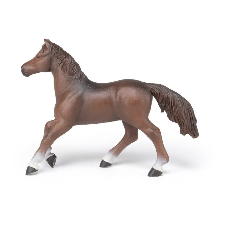 PAPO Horse and Ponies Anglo-Arab Mare Toy Figure, Three Years or Above, Brown