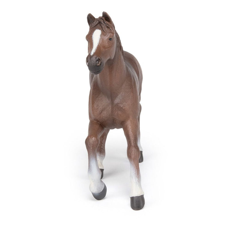 PAPO Horse and Ponies Anglo-Arab Mare Toy Figure, Three Years or Above, Brown